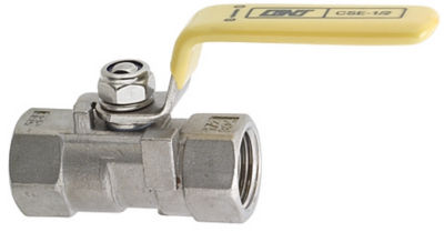 Ball Valves/Stainless Steel/PT Male/PT Female
