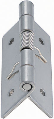 Stainless Steel Hinges with Spring