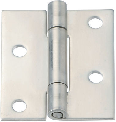 Stainless Steel Hinges/Offset Mounting Holes