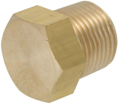 Brass Fittings for Steel Pipe/Plug