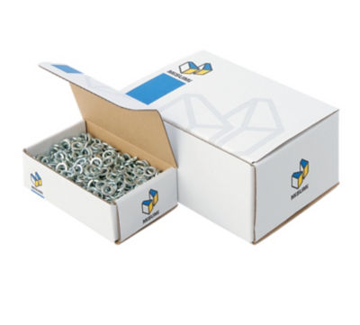 Spring Washers (Box)