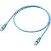 CAT5e UTP(絞線)/ 低價格