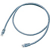 CAT6 UTP(絞線)