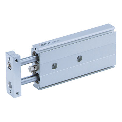 Dual-Rod Cylinder, Compact Type CXSJ Series