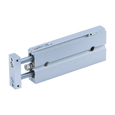 Dual-Rod Cylinder, Compact Type CXSJ Series