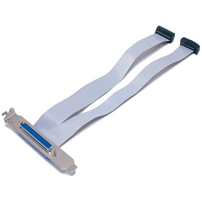 Cable connector option for digital input/output and analog converter cards.