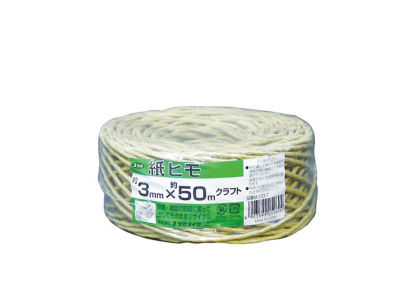 Paper Twine (Craft, White)