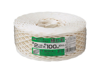 Paper Twine (Craft, White)