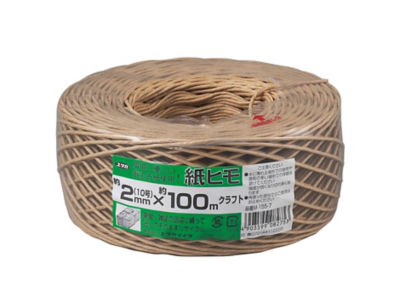 Paper Twine (Craft, White)