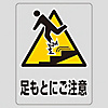 Transparent Sticker "Watch Your Feet" TM-10M