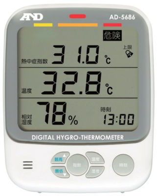 environmental thermometer