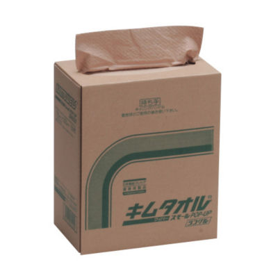 Kim Towel, Paper Rag Sheet 6-6685