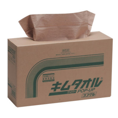 Kim Towel, Paper Rag Sheet 6-6685